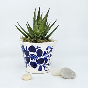 May include: A green succulent plant in a white ceramic pot with blue floral designs. The pot is decorated with a blue floral pattern. Three small, smooth stones are near the pot. The plant has long, pointed leaves.