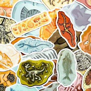 Puede incluir: Una colección de pegatinas coloridas con varios diseños de fósiles. Las pegatinas muestran imágenes de esqueletos de dinosaurios, fósiles de peces y otras formas de vida prehistóricas en tonos naranja, verde, azul y marrón.