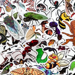 Op de afbeelding: Een verzameling insectenstickers, met verschillende insecten zoals bijen, mieren, spinnen en cicaden. De stickers tonen gedetailleerde illustraties met levendige kleuren en ingewikkelde ontwerpen. De collectie bevat een verscheidenheid aan vormen en maten.