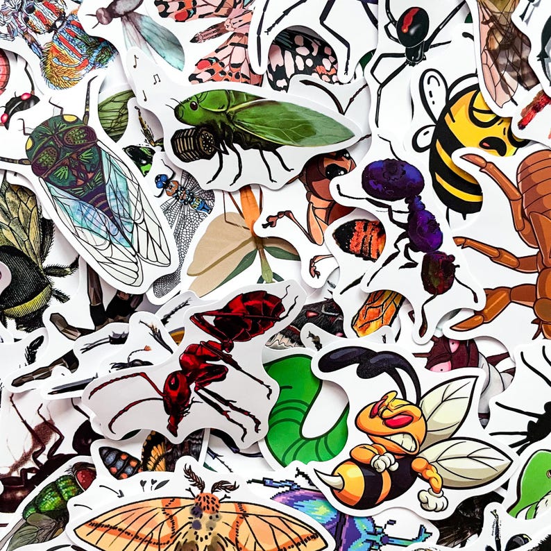 Op de afbeelding: Een verzameling insectenstickers, met verschillende insecten zoals bijen, mieren, spinnen en cicaden. De stickers tonen gedetailleerde illustraties met levendige kleuren en ingewikkelde ontwerpen. De collectie bevat een verscheidenheid aan vormen en maten.