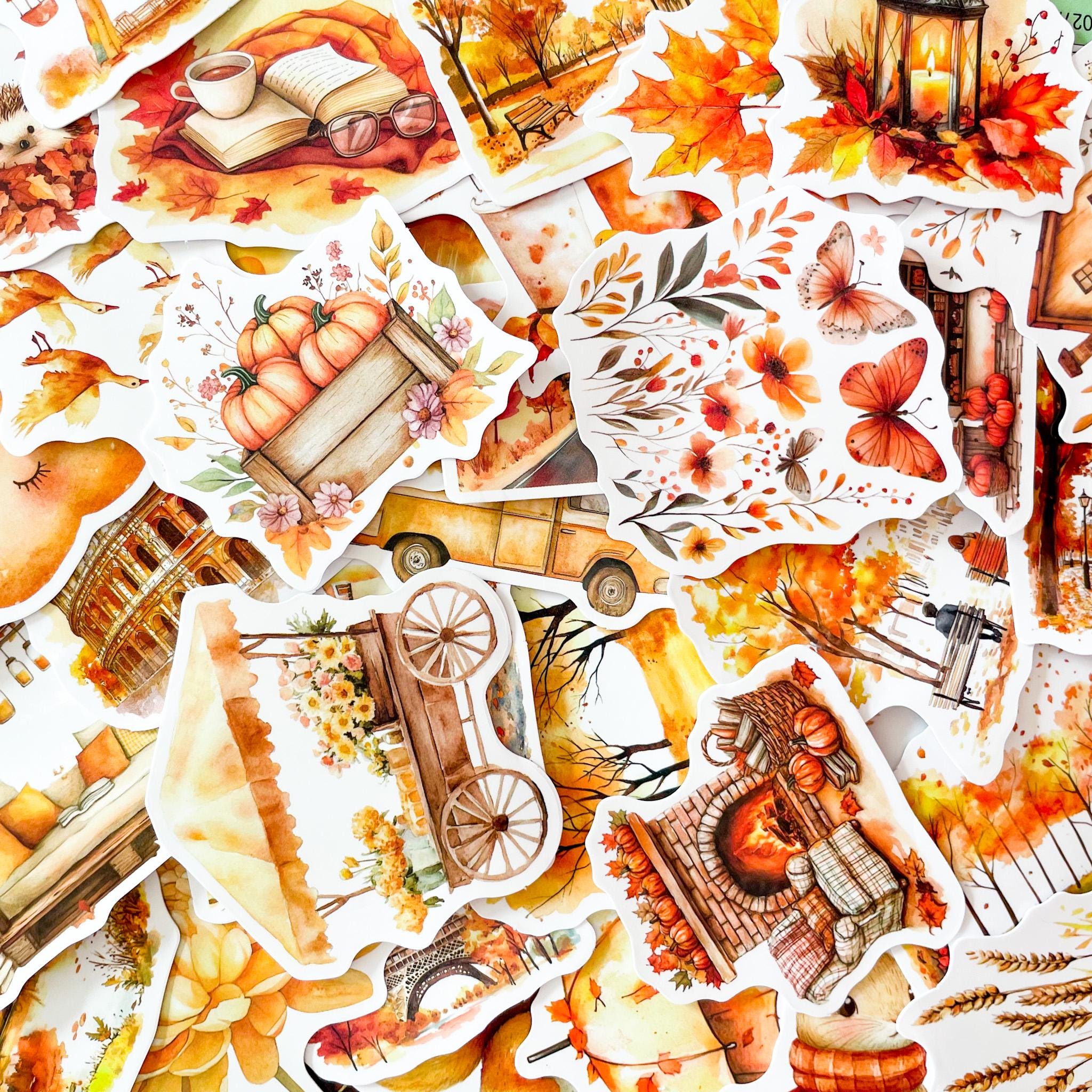 50PCS Cozy Fall Harvest Stickers, Playful Autumn Woodland Stickers ...