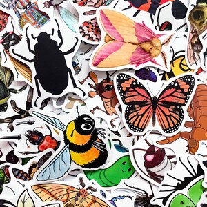 Op de afbeelding: Een verzameling kleurrijke insectenstickers, waaronder een zwarte kever, een geelzwarte hommel en een monarchvlinder met oranje en zwarte vleugels. Andere insecten zijn een mot met roze en oranje vleugels en diverse andere insecten.