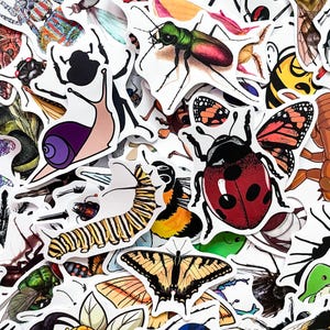Op de afbeelding: Een verzameling kleurrijke stickers met insecten. De stickers tonen verschillende insecten, waaronder vlinders, lieveheersbeestjes, rupsen en kevers. De stickers zijn in verschillende maten en vormen, met een witte rand.