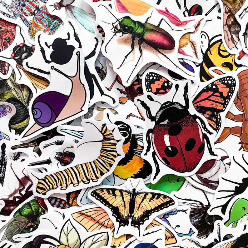 Op de afbeelding: Een verzameling kleurrijke stickers met insecten. De stickers tonen verschillende insecten, waaronder vlinders, lieveheersbeestjes, rupsen en kevers. De stickers zijn in verschillende maten en vormen, met een witte rand.