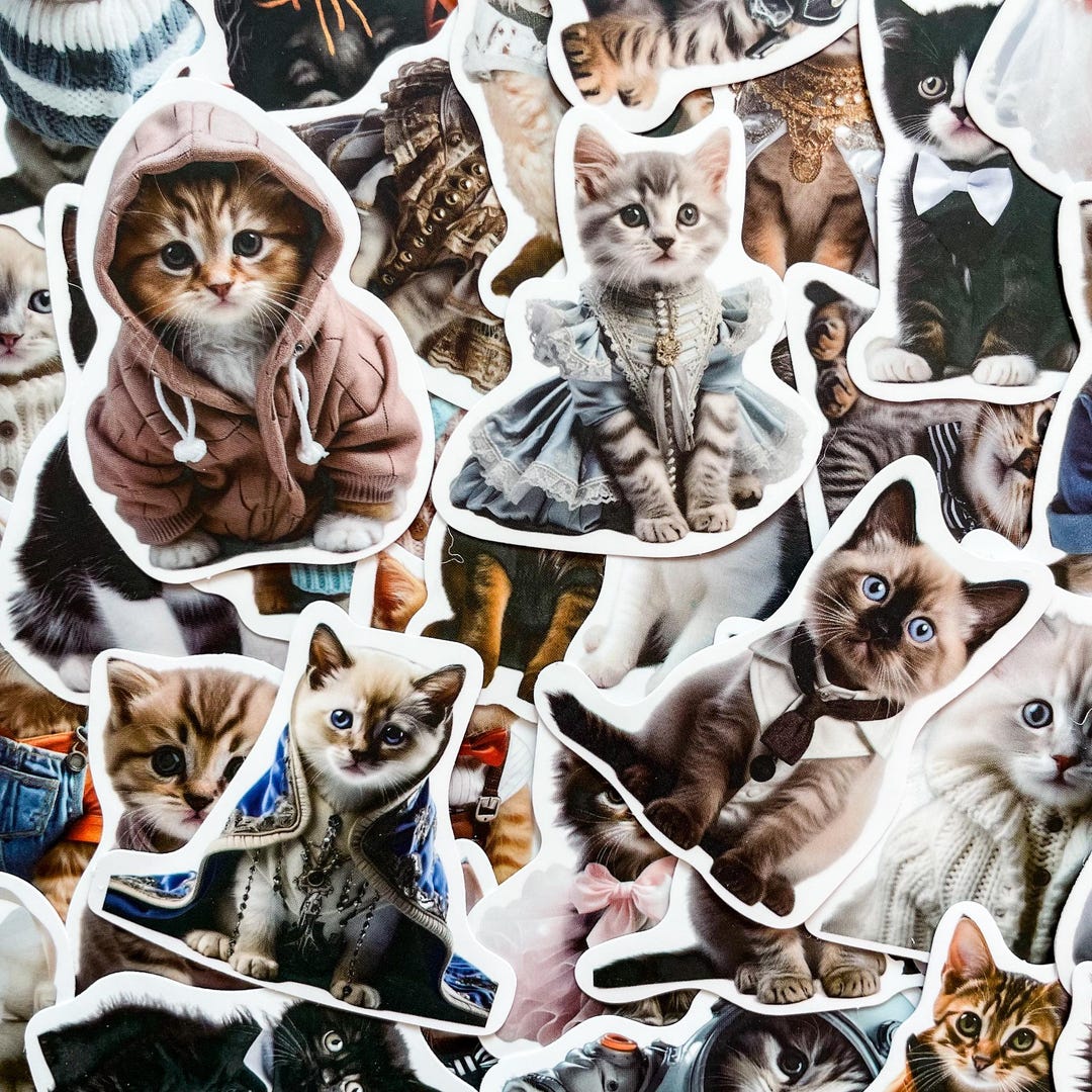 50 Random Stylish Cat Stickers, Cute Fashion Cat Stickers for Kids ...