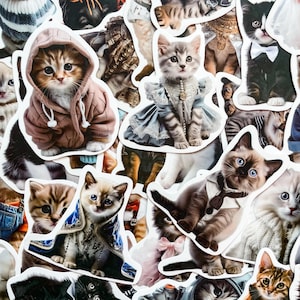 100 willekeurige stijlvolle kattenstickers, leuke mode kattenstickers voor kinderen, trendy kattenstickers, waterdichte stickers voor laptop dagboek plakboek