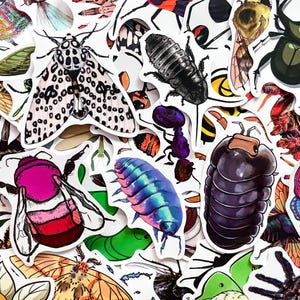 May include: A collection of colorful insect stickers, including a moth with black and white spots, a pink and red bee, and a blue and purple pillbug. The stickers are on a white background.