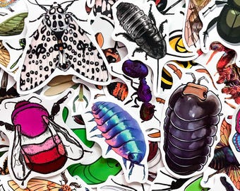 50PCS Bug Character Stickers, Playful Entomology Stickers, Varied Insect Stickers, Bee Stickers, Waterproof Sticker for DIY Craft, Scrapbook