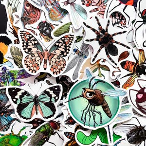 Op de afbeelding: Een verzameling kleurrijke insecten- en spinachtigenstickers. De stickers bevatten gedetailleerde illustraties van vlinders, spinnen, libellen, bijen en andere insecten. De stickers zijn wit met diverse kleuren en patronen.