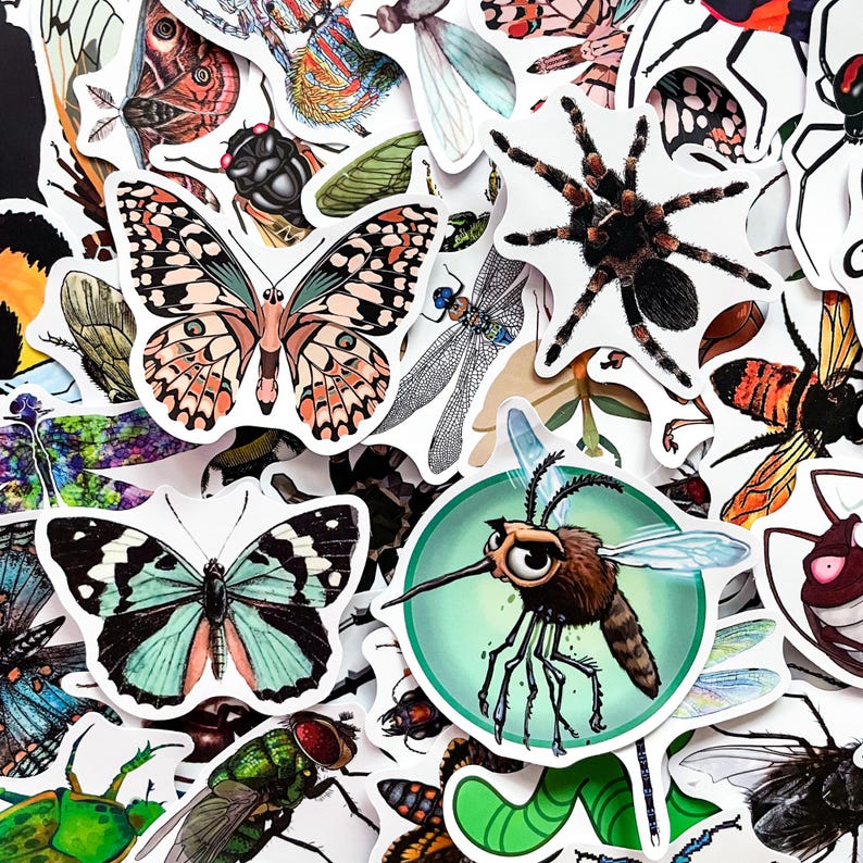 Op de afbeelding: Een verzameling kleurrijke insecten- en spinachtigenstickers. De stickers bevatten gedetailleerde illustraties van vlinders, spinnen, libellen, bijen en andere insecten. De stickers zijn wit met diverse kleuren en patronen.