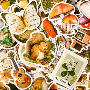 May include: A collection of vintage-style stickers featuring a variety of images, including a butterfly, a squirrel, mushrooms, a flower, a guitar, and a clock. The stickers are printed on white paper with a rounded border.
