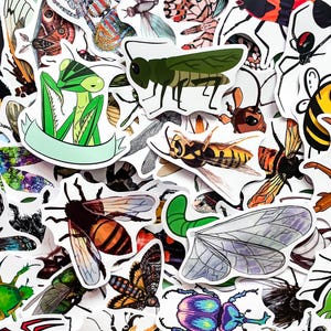 Op de afbeelding: Een verzameling insectenstickers met verschillende insecten, waaronder een groene sprinkhaan, een geelzwarte wesp en een kleurrijke vlinder. De stickers hebben een witte achtergrond en gedetailleerde illustraties.