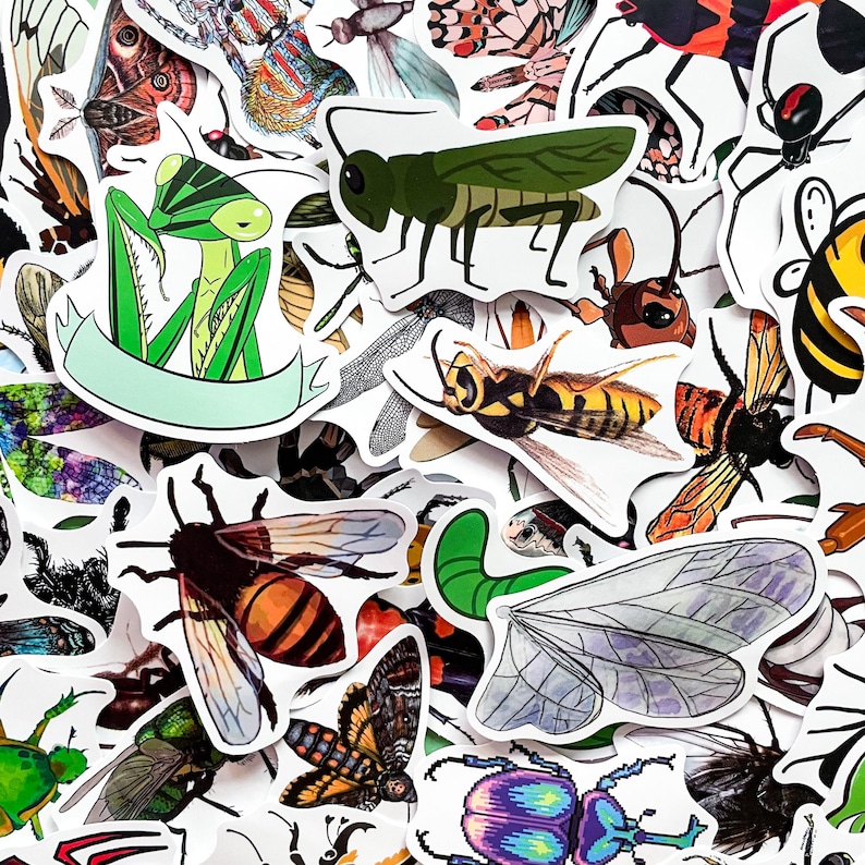 Op de afbeelding: Een verzameling insectenstickers met verschillende insecten, waaronder een groene sprinkhaan, een geelzwarte wesp en een kleurrijke vlinder. De stickers hebben een witte achtergrond en gedetailleerde illustraties.
