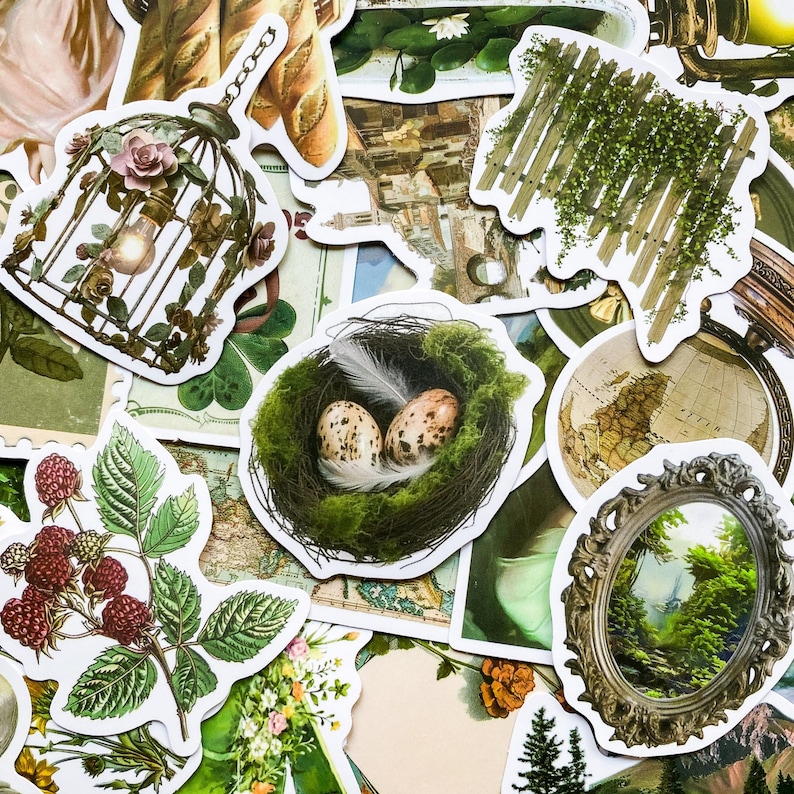 May include: A collection of colorful stickers featuring nature-inspired designs. The stickers include a birdcage, a nest with eggs, a fence with vines, a globe, and a framed landscape.