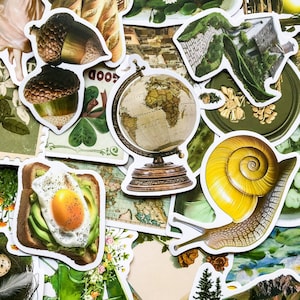 May include: A set of colorful stickers featuring various designs, including a globe, a snail, a slice of avocado toast with a fried egg, and acorns. The stickers are perfect for adding a touch of whimsy to journals, laptops, or water bottles.