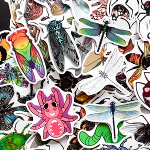 Op de afbeelding: Een verzameling kleurrijke insectenstickers, waaronder vlinders, libellen en spinnen. De stickers hebben een verscheidenheid aan ontwerpen, met levendige kleuren en gedetailleerde illustraties. De stickers staan op een witte achtergrond.