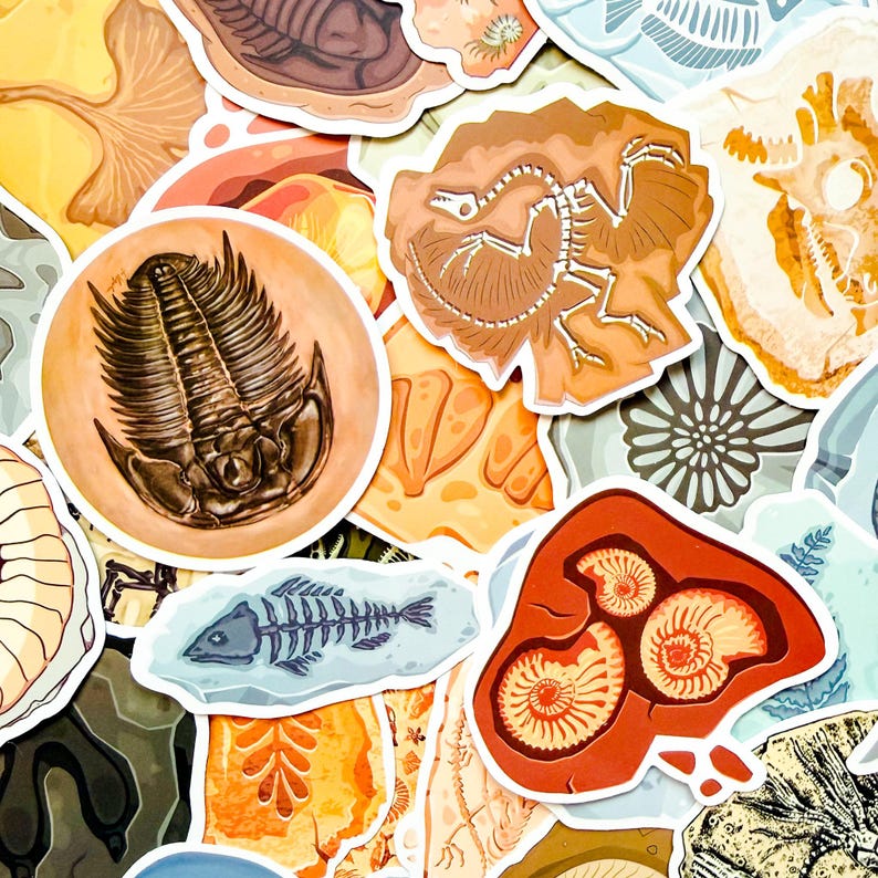 50PCS Fossil Paleontology Stickers, Vintage Rock Texture Stickers ...