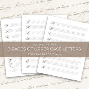 May include: Three white pages with calligraphy practice letters, including the letters A through Z. The pages are printed with light gray lines and letter guides. Text on the image reads: "YOU WILL RECEIVE: 3 PAGES OF UPPER CASE LETTERS PDF & PNG A4 & 8.5x11 Letter."