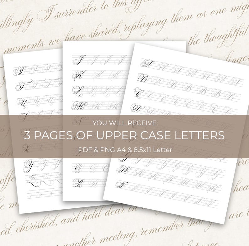 May include: Three white pages with calligraphy practice letters, including the letters A through Z. The pages are printed with light gray lines and letter guides. Text on the image reads: "YOU WILL RECEIVE: 3 PAGES OF UPPER CASE LETTERS PDF & PNG A4 & 8.5x11 Letter."