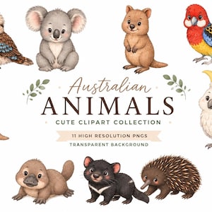 Pode incluir: Um conjunto de ilustrações digitais com onze animais australianos, incluindo um kookaburra, koala, quokka, papagaio, canguru, cacatua, wombat, ornitorrinco, diabo da Tasmânia, equidna e cacatua preta com o texto Australian ANIMALS.
