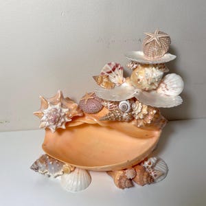 stojak na biżuterię z muszli morskich, ekspozycja biżuterii, estetyka oceanu, estetyka plaży, drobiazgi jubilerskie, prawdziwe muszle morskie