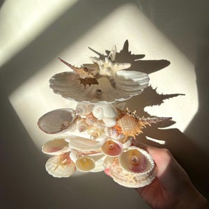 Muschel Schmuckhalter, Schmuckhalter, Ozeanästhetik, Strandästhetik, Schmuckstücke, echte Muscheln