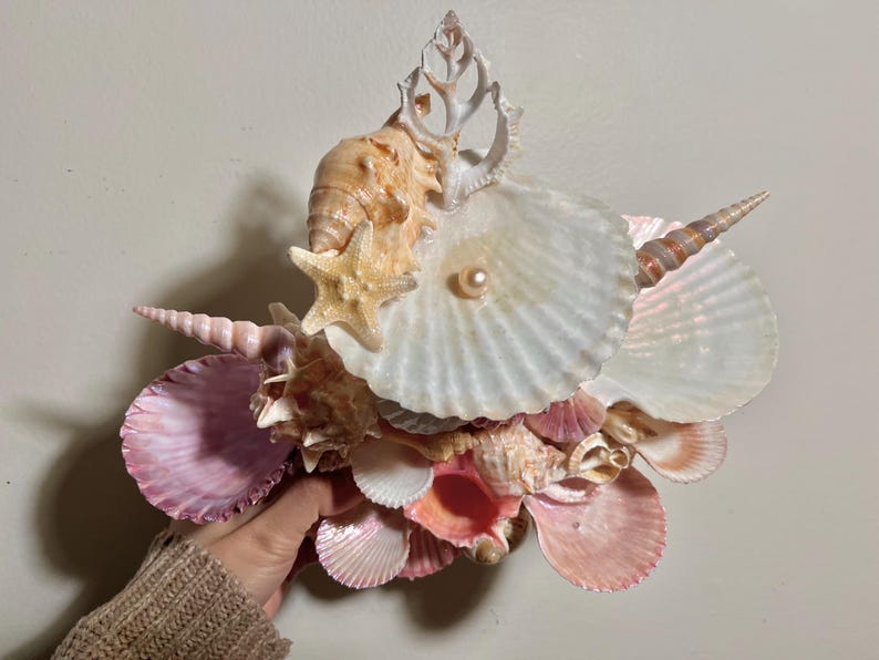 K&ouml;nnte beinhalten: Eine dekorative Anordnung von Muscheln in Rosa-, Wei&szlig;- und Beiget&ouml;nen. Die Anordnung umfasst einen Seestern und eine Perle. Die Muscheln sind zusammengefasst und bilden eine dekorative Darstellung. Nat&uuml;rliches K&uuml;stenmotiv.