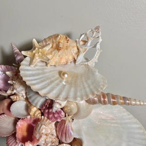 K&ouml;nnte beinhalten: Eine dekorative Anordnung von Muscheln in Rosa-, Wei&szlig;- und Beiget&ouml;nen. Die Anordnung umfasst einen Seestern und eine Perle. Die Muscheln sind zusammengefasst und bilden eine strukturierte Oberfl&auml;che. Verschiedene Formen und Gr&ouml;&szlig;en werden gezeigt.