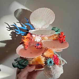 seashell jewelry holder, jewelry display, ocean aesthetic, beach aesthetic, jewelry trinkets, genuine seashells