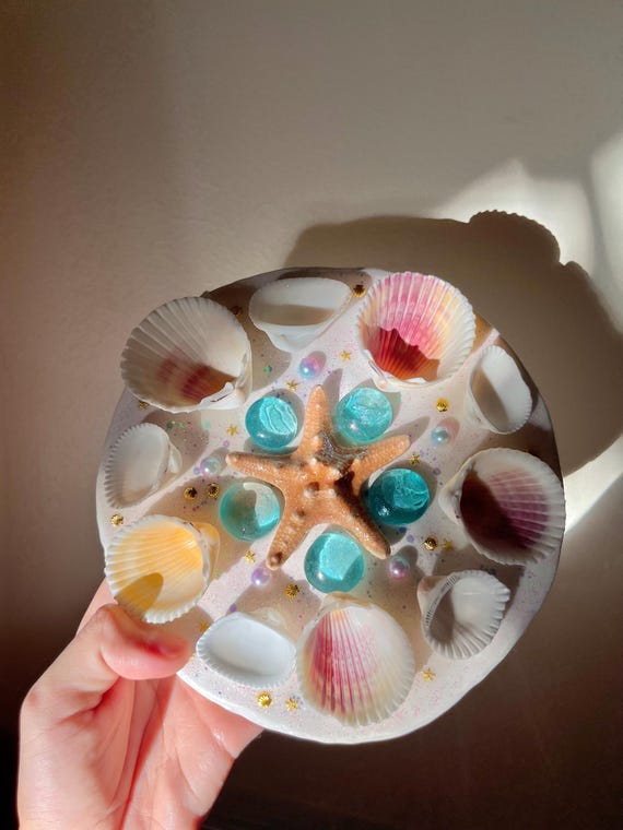 seashell paint palette, ocean aesthetic, beach aesthetic, genuine seashells, unique paint palette