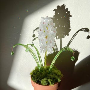 Perlen Hyazinthe, Pflanzendekor, Blumenstrauß, Perlenpflanze, Perlenblume, für immer Pflanzen