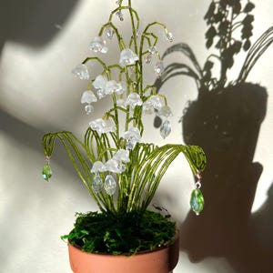 Beaded lily of the valley, plant decor, bouquet