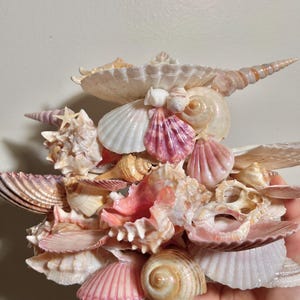 K&ouml;nnte beinhalten: Eine Sammlung verschiedener Muscheln in Wei&szlig;-, Rosa- und Beiget&ouml;nen. Das Sortiment umfasst Muschelschalen, Jakobsmuscheln und andere Arten, wodurch eine strukturierte und geschichtete Darstellung entsteht. Die Muscheln sind in einem Haufen angeordnet.