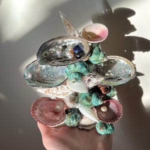 seashell jewelry holder, jewelry display, ocean aesthetic, beach aesthetic, jewelry trinkets, genuine seashells