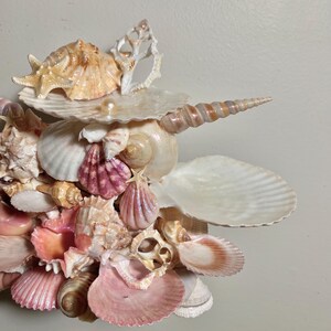 K&ouml;nnte beinhalten: Eine Anordnung verschiedener Muscheln in Rosa-, Creme- und Beiget&ouml;nen. Die Anordnung umfasst einen Seestern, Spiralmuscheln und eine Perle. Die Muscheln sind zusammengefasst und erzeugen einen strukturierten und geschichteten Effekt.