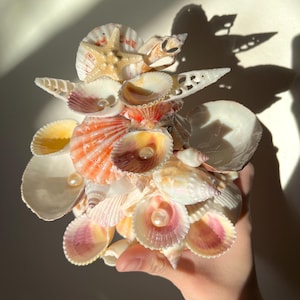 seashell jewelry holder, jewelry display, ocean aesthetic, beach aesthetic, jewelry trinkets, genuine seashells