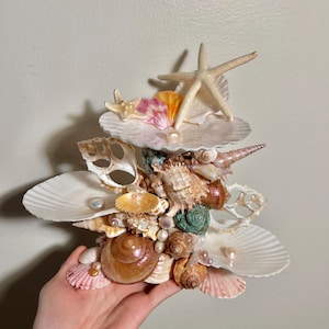 seashell jewelry holder, jewelry display, ocean aesthetic, beach aesthetic, jewelry trinkets, genuine seashells