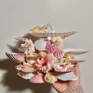 K&ouml;nnte beinhalten: Eine dekorative Anordnung verschiedener Muscheln in den Farbt&ouml;nen Rosa, Wei&szlig; und Beige. Die Muscheln haben unterschiedliche Formen und Gr&ouml;&szlig;en, wodurch ein geschichtetes, strukturiertes Aussehen entsteht. Die Anordnung wird von einer Person gehalten.