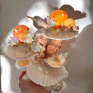 seashell jewelry holder, coral and vanilla themed,  jewelry display, ocean aesthetic, beach aesthetic, jewelry trinkets, genuine seashells