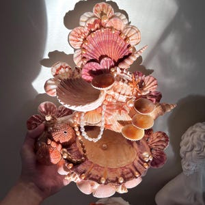 seashell jewelry holder, jewelry display, ocean aesthetic, beach aesthetic, jewelry trinkets, genuine seashells