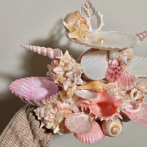 K&ouml;nnte beinhalten: Eine Anordnung verschiedener Muscheln in Rosa-, Pfirsich- und Wei&szlig;t&ouml;nen, darunter Schneckenh&auml;user, Jakobsmuscheln und ein Seestern. Eine Perle liegt auf einer gro&szlig;en Muschel. Die Muscheln sind zusammengefasst.