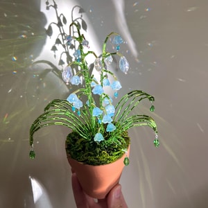 Blaue Maiglöckchen Pflanze, Perlenpflanze, Dekorative Pflanze, Perlenblume, für immer Pflanzen