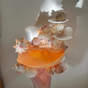 seashell jewelry holder, jewelry display, ocean aesthetic, beach aesthetic, jewelry trinkets, genuine seashells