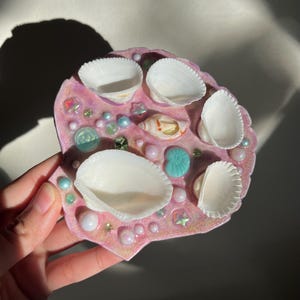 seashell paint palette, ocean aesthetic, beach aesthetic, genuine seashells, unique paint palette