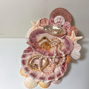 seashell jewelry holder, jewelry display, ocean aesthetic, beach aesthetic, jewelry trinkets, genuine seashells