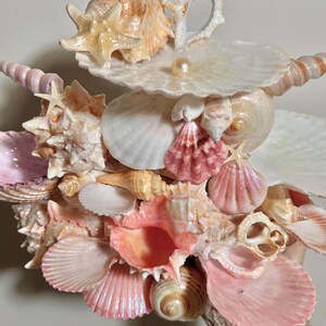 K&ouml;nnte beinhalten: Eine Ansammlung verschiedener Muscheln in Rosa-, Pfirsich- und Wei&szlig;t&ouml;nen, darunter Seesterne und Schneckenh&auml;user. Eine Perle liegt auf einer gro&szlig;en, flachen Muschel. Die Anordnung ist detailliert und zeigt die nat&uuml;rliche Sch&ouml;nheit des Meeres.