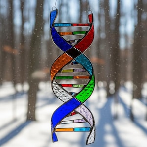 May include: A colorful stained glass DNA helix suncatcher. The double helix design features segments of blue, orange, red, green, and clear glass. The suncatcher hangs from a thin wire, perfect for a window or wall.