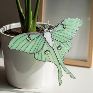 May include: A stained glass luna moth in shades of light green, with silver-coloured metal detailing. The moth features a white central section and is placed near a potted plant. The wings have a textured appearance.