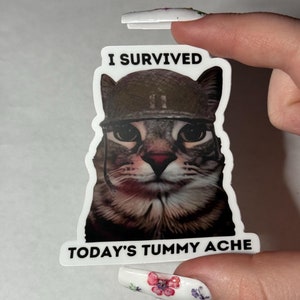 I Survived Today’s Tummy Ache Sticker – Funny Cat Meme Vinyl Sticker, Military Helmet Cat, Gen Z Humor, Waterproof