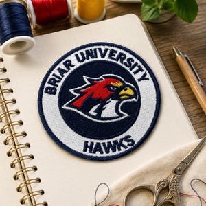Briar University Hawks Embroidered Patch, Off Campus Series Shirt, John Logan Graham John Tucker Dean Di Laurentis,Hockey Romance Merch